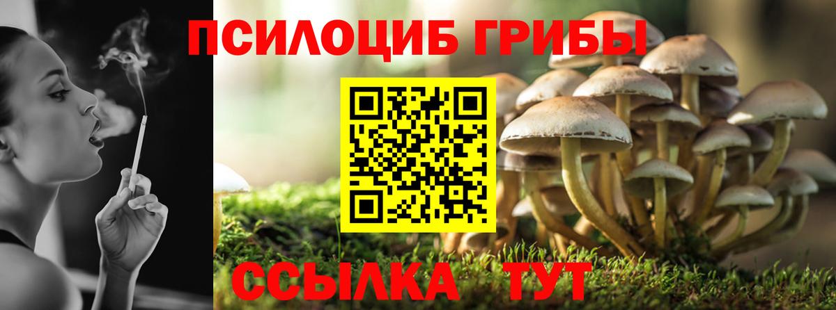 Галлюциногенные грибы мухоморы  Вход с VPN  где продают наркотики  Галлюциногенные грибы прущие грибы  Горно-Алтайск 